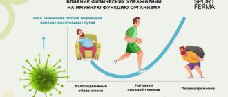 Влияние тренировок и спорта на иммунную систему